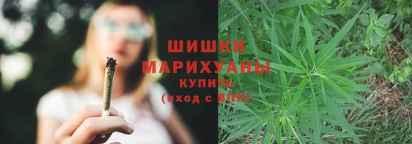 винт Аркадак