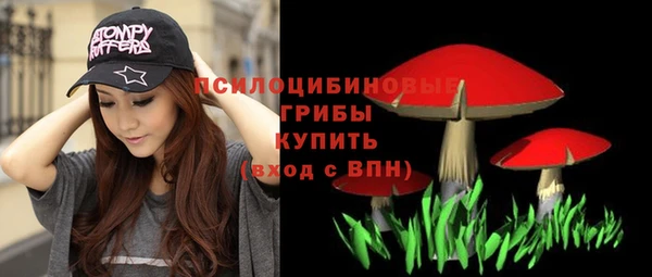 винт Аркадак