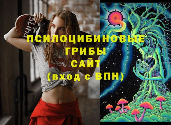 винт Аркадак