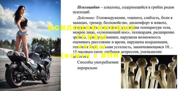 винт Аркадак